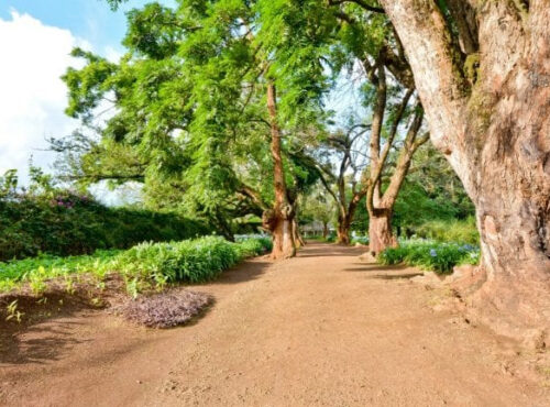Oaklands Ruiru Plots for Sale