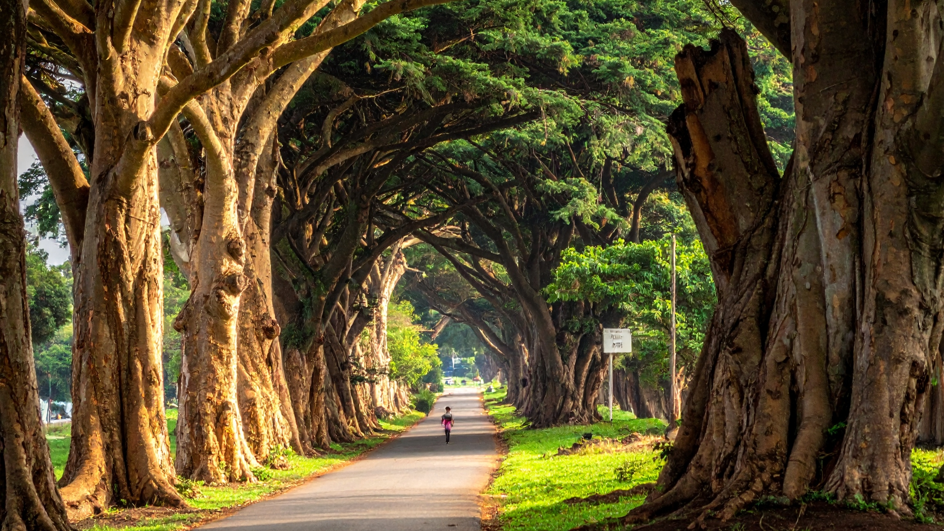 Nairobi’s Leafy Suburbs Are Changing: What High-Rise Development Really Means for Property Values & Living in 2026