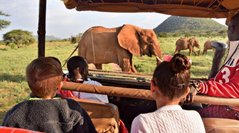 Expat Life in Nairobi, Kenya: The Complete 2026 Guide to Neighborhoods, Costs & Property
