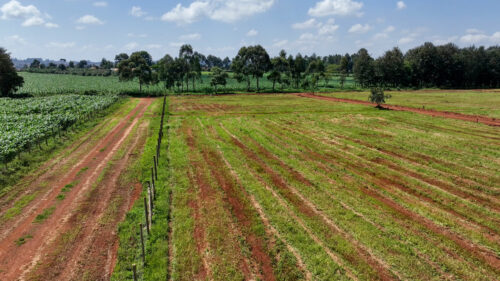 Forest Hills Estate Kitale: 1/4-Acre Residential Plots for Sale