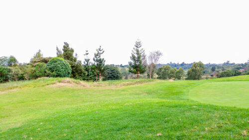 Thika Greens Golf Estate Plots for Sale Near Thika Town