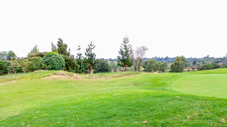 Thika Greens Golf Estate, Thika
